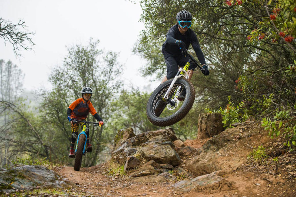 Products Life Cycle Bikes