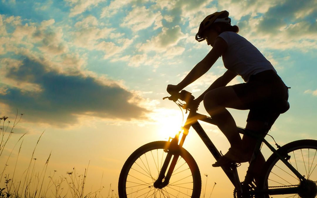 LCB has plenty of bikes in-store!