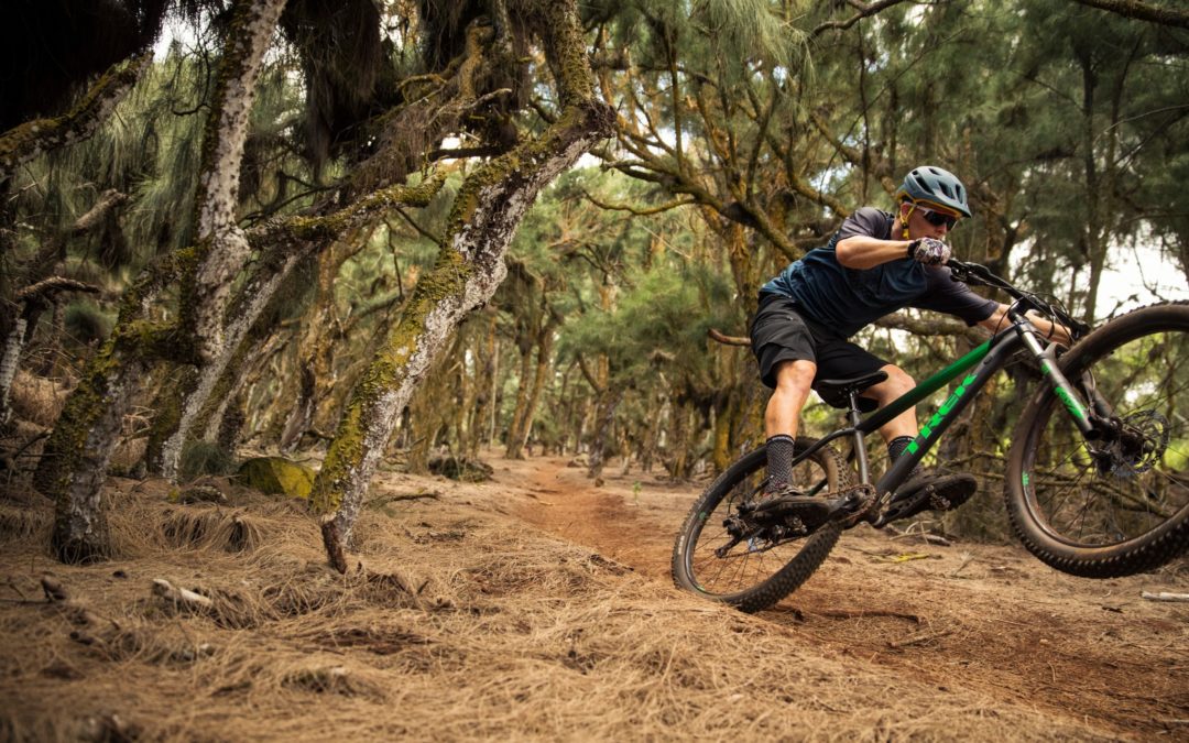 Rip it up on a hardtail!